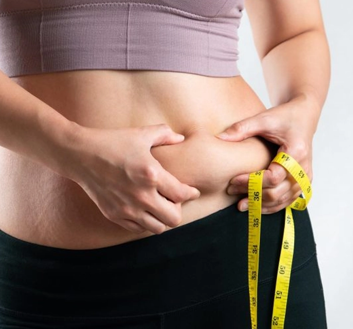 Fat burning support